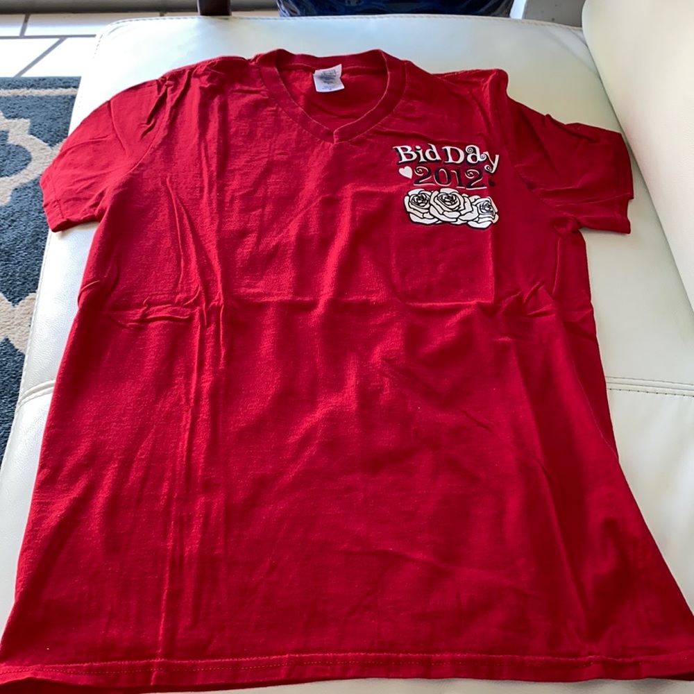 Alpha Omicron Pi V-Neck Tee